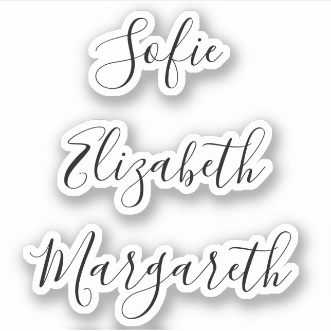 Handwritten Signature Script Name stickers  (Front)