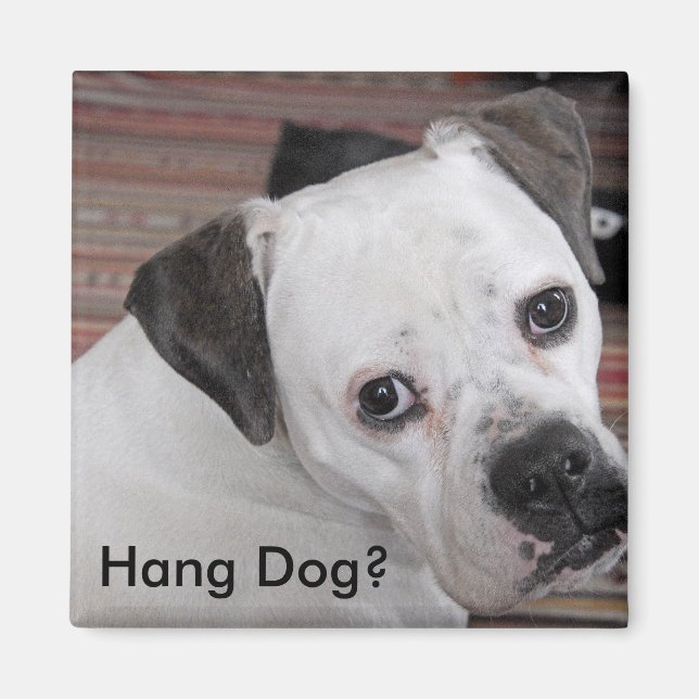 Hang Dog? Magnet (Front)