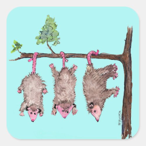 Hang in there 3 possums watercolor stickers