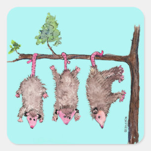 Hang in there 3 possums watercolor stickers