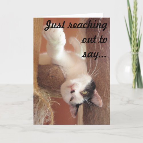 Hang in there Cat Greeting Card