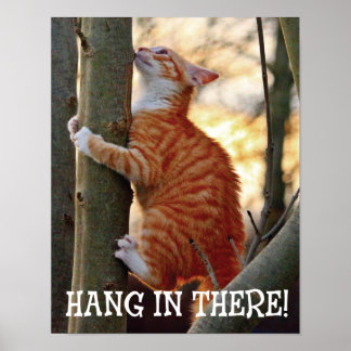 Hang In There Cat Poster Hang In There Cat Poster