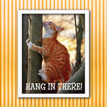 Hang In There Cat Poster by SayWhatYouLike at Zazzle