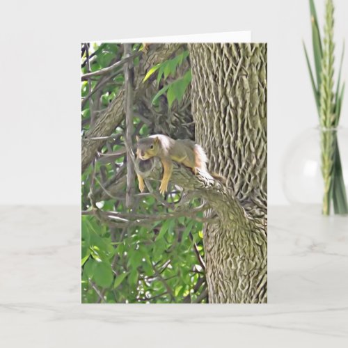 Hang in There Cute Squirrel in Tree Support Card