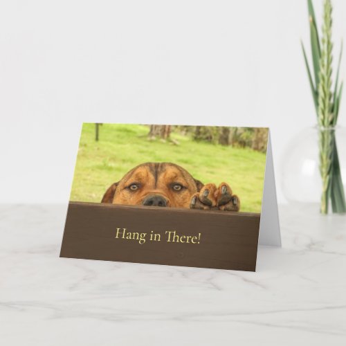 Hang In There Encouragement Cute Pitbull Dog Card