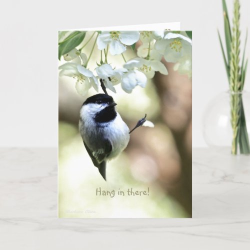Hang in there_EncouragementGet_Well Card
