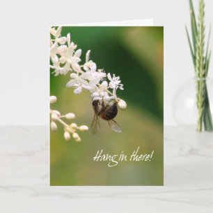 Hang in there Encouragement Greeting Card