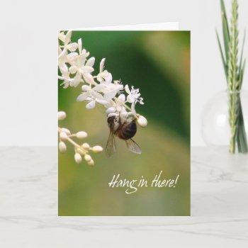 Hang In There Encouragement Greeting Card by Digitalbcon at Zazzle