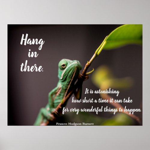 Hang in There Frances Hodgson Burnett chameleon Poster