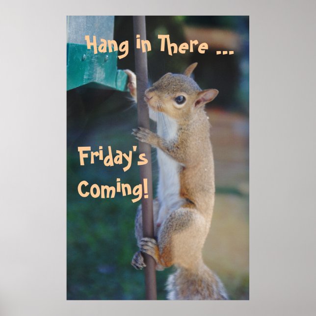 Hang in There, Friday'sComing! Squirrel Poster (Front)