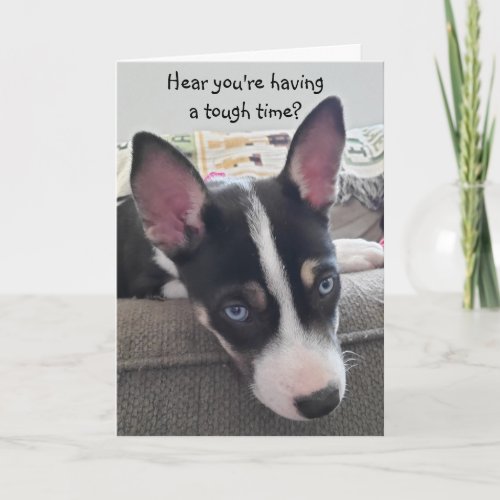 Hang in There Get Well Card Cute Puppy Card