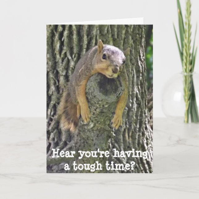 Hang in There, Get Well Card, Cute Squirrel Card (Front)