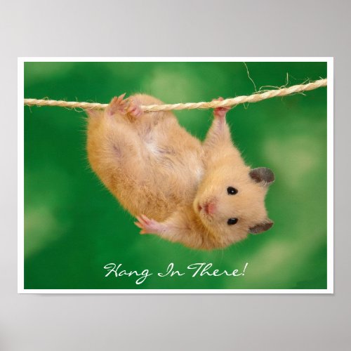 Hang in There Hamster Poster