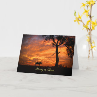 Hang in There Horse and Sunrise Encouragement Card