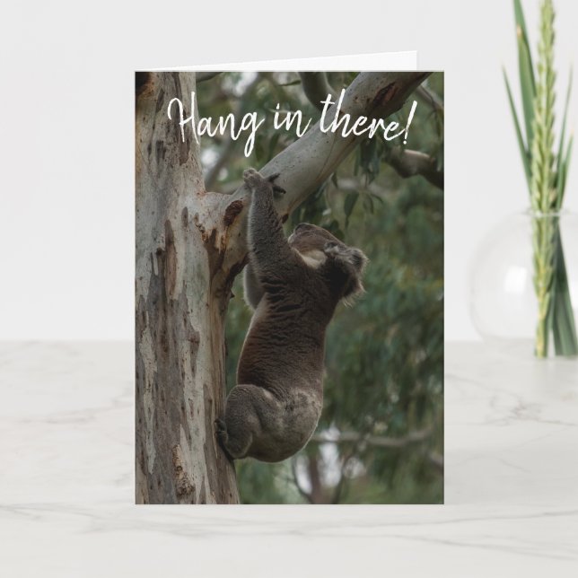Hang in there! Koala Australia Card (Front)
