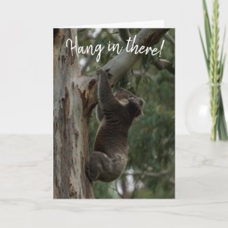 Hang in there! Koala Australia Card