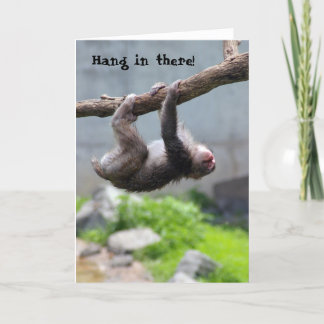 Hang in there Monkey card
