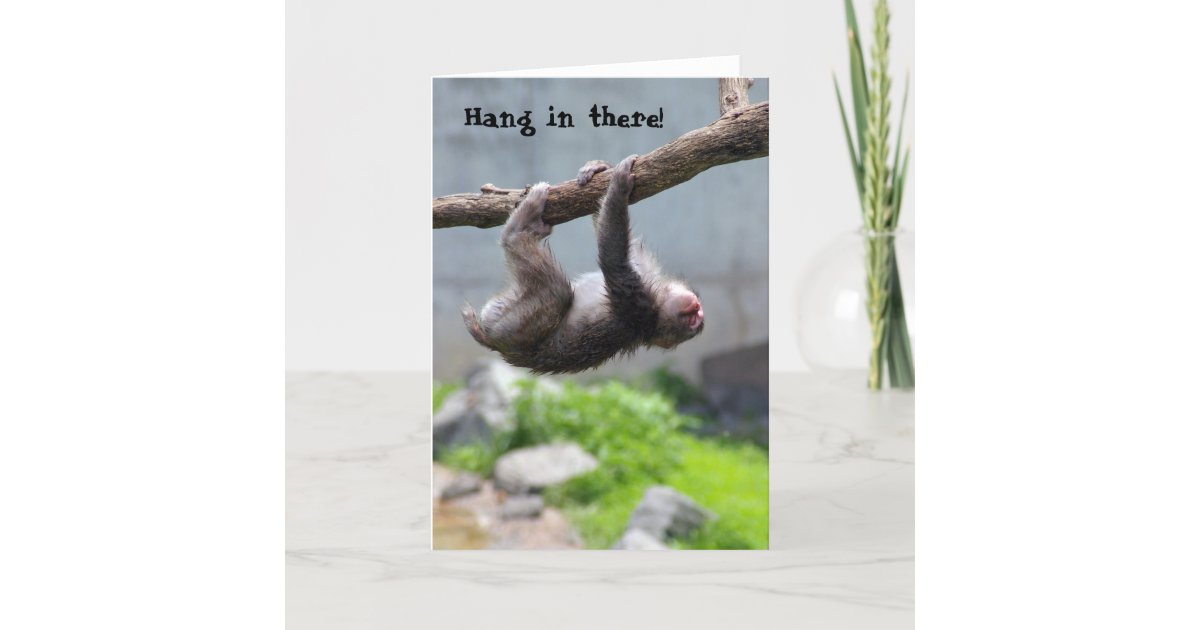 Hang in there Monkey card | Zazzle