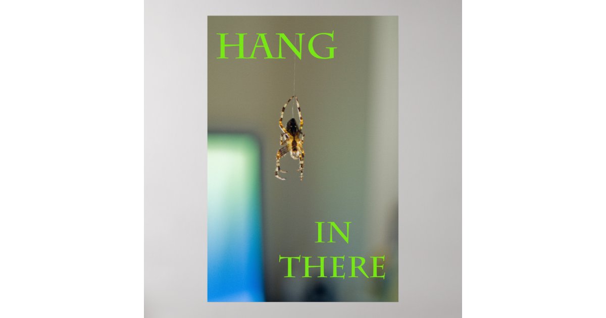 Hang in There Poster | Zazzle