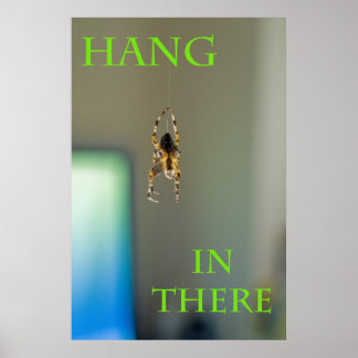 Hang in There Poster