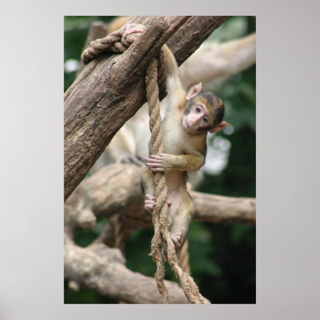 Hang in there poster (Front)