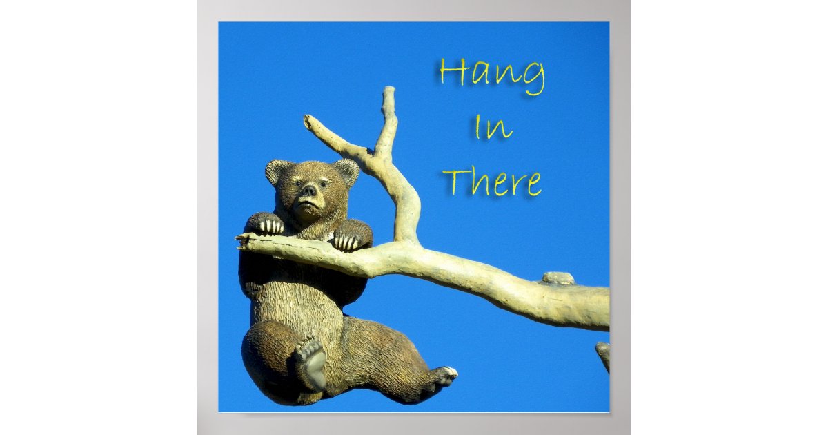 hang in there poster Zazzle