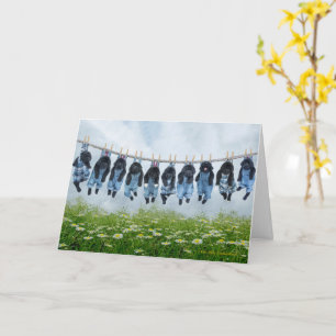 Hang in there puppy greeting card