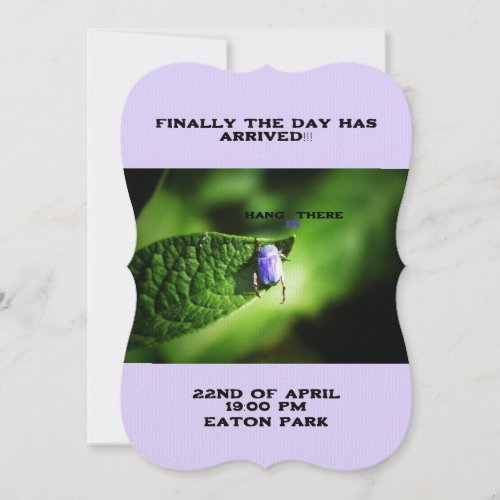 Hang in There Purple Beatle Invitation