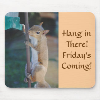 Hang in There, Squirrel on Bird Feeder Mouse Pad