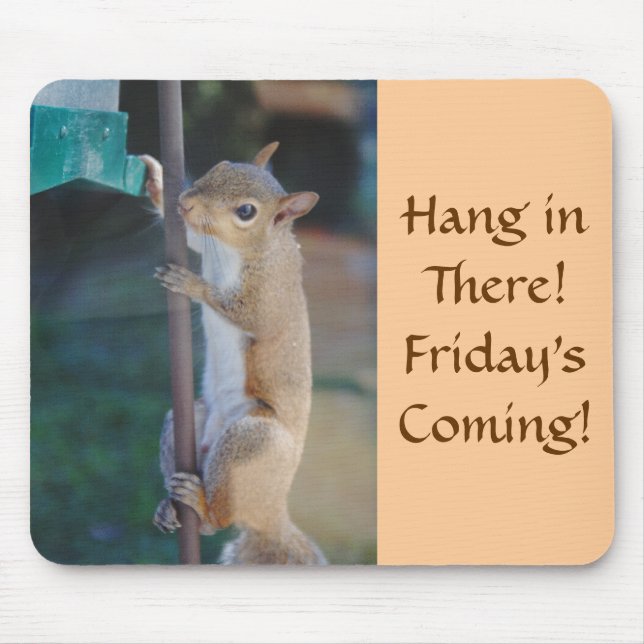 Hang in There, Squirrel on Bird Feeder Mouse Pad (Front)