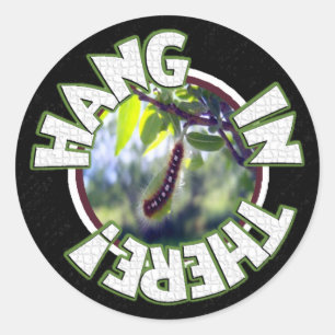Hang In There Sticker