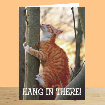 Hang In There With Cat Card by SayWhatYouLike at Zazzle