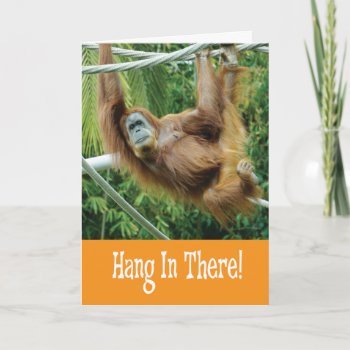 Hang In There With Funny Orangutan In Tree Card by SayWhatYouLike at Zazzle