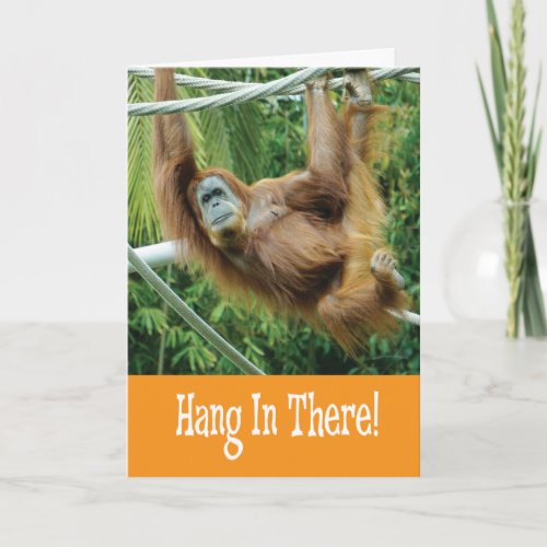 Hang in There with funny Orangutan in Tree Card