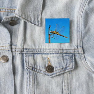 Hang On Artistic Dragonfly Against Cerulean Blue Button