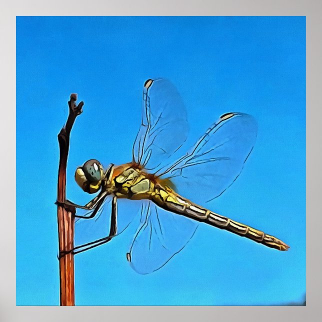 Hang On Artistic Dragonfly Against Cerulean Blue Poster (Front)