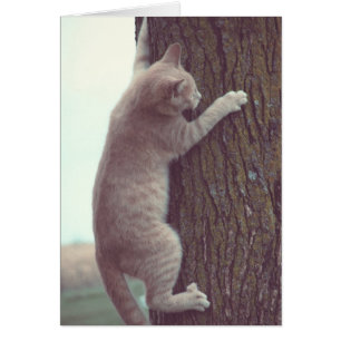 Hang On Cards