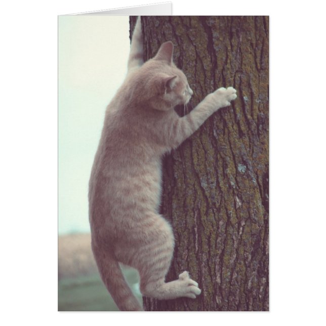 Hang On Cards (Front)