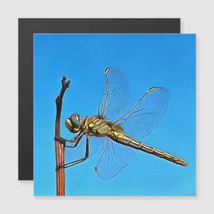 Hang On In There Artistic Dragonfly