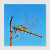 Hang On In There Artistic Dragonfly (Front)