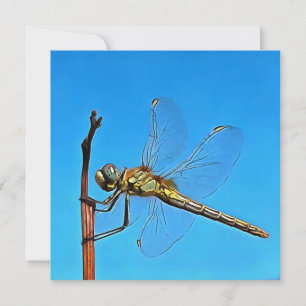 Hang On In There Artistic Dragonfly Holiday Card
