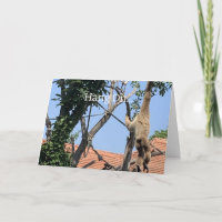 Hang On, Monkey Birthday