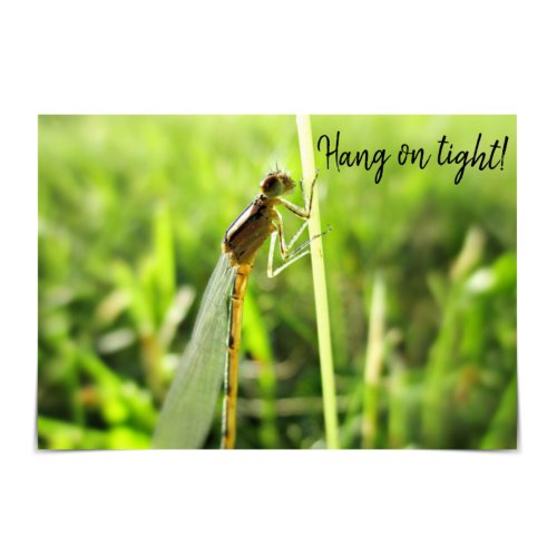 Hang on Tight Funny Dragonfly Encouragement Card