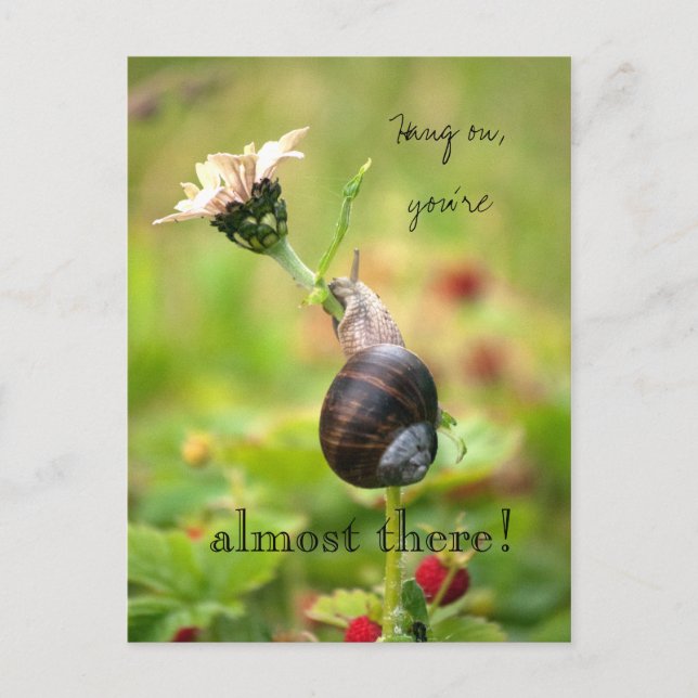 Hang on, you´re almost there! Motivational Snail Postcard (Front)