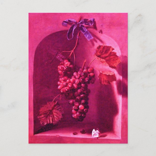 HANGED GRAPES Antique Viticulture,Rustic Vineyard Postcard (Front)