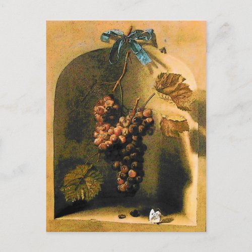 HANGED GRAPES Antique ViticultureRustic Vineyard Postcard