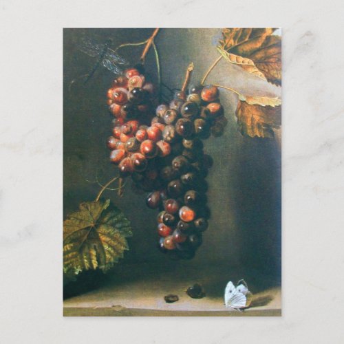 HANGED GRAPES RUSTIC VINEYARDWINERYVITICULTURE POSTCARD