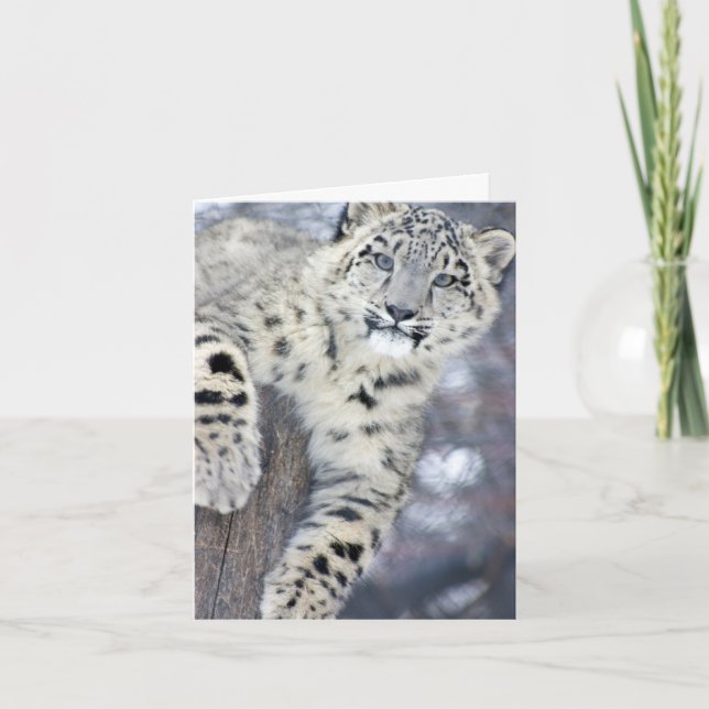 Hangin' Around.... Card (Front)