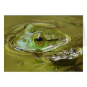 Hangin' in the Pool (Front Horizontal)