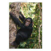 Hanging Around (Front)